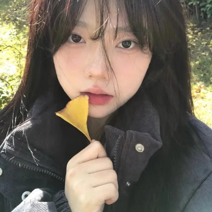 失落边境